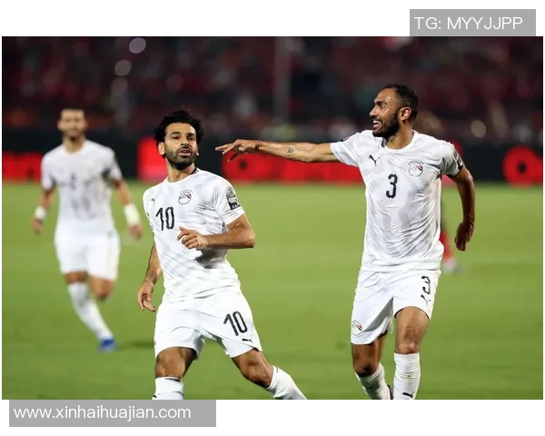 乌干达与埃及足球比赛因不可抗力因素被迫取消引发广泛关注