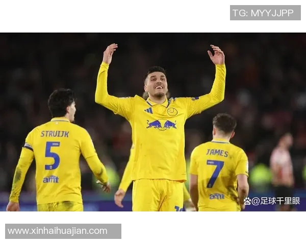 谢菲尔德对阵利兹的精彩直播全程回顾与分析