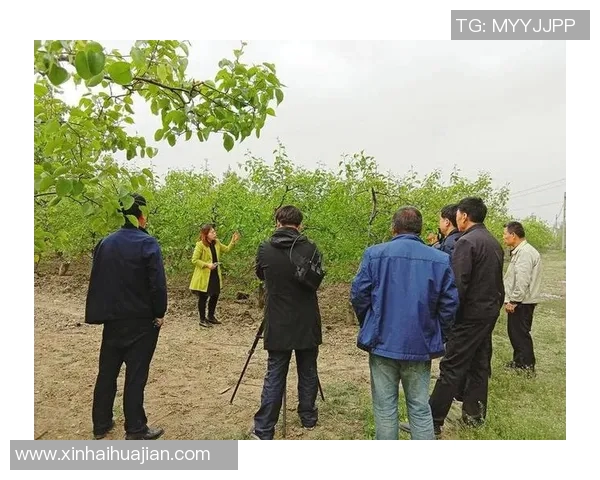 蒲城县男子足球比赛直播精彩瞬间回顾与赛程安排全解析 蒲城县男子足球比赛直播精彩瞬间回顾与赛程安排全解析