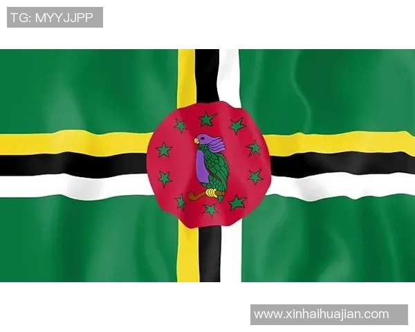 塞尔维亚国旗的历史与象征意义探讨与文化传承分析 塞尔维亚国旗的历史与象征意义探讨与文化传承分析