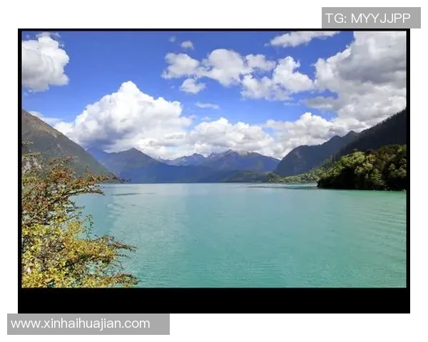 兰斯顿加洛韦的艺术之旅与文化影响力探讨